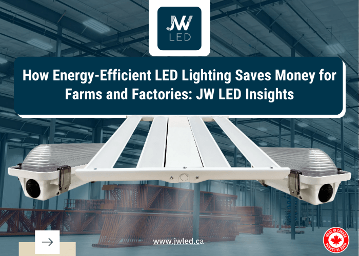 How Energy-Efficient LED Lighting Saves Money for Farms and Factories: JW LED Insights