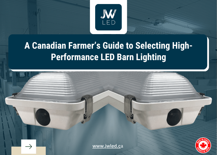 A Canadian Farmer’s Guide to Selecting High-Performance LED Barn Lighting