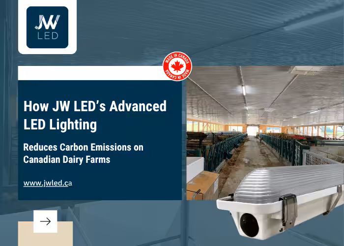 How JW LED’s Advanced LED Lighting Reduces Carbon Emissions on Canadian Dairy Farms