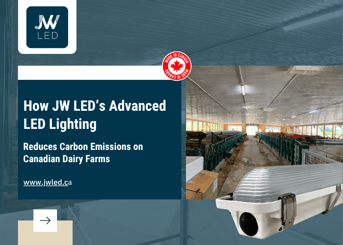 How JW LED’s Advanced LED Lighting Reduces Carbon Emissions on Canadian Dairy Farms