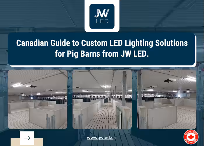 Canadian Guide to Custom LED Lighting Solutions for Pig Barns from JW LED