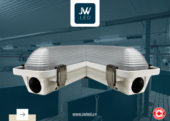Canadian Guide to Custom LED Lighting Solutions for Pig Barns from JW LED