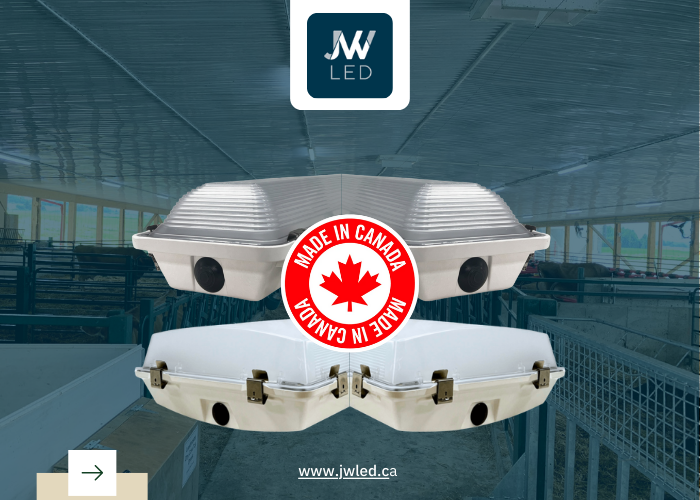 LED Lighting Made in Canada vs. Imported Options