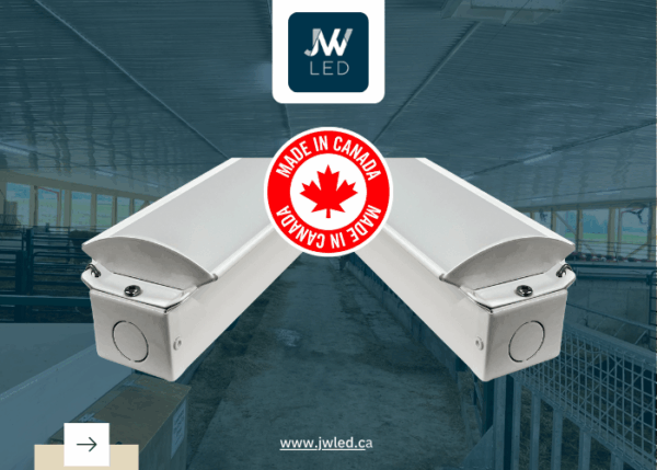 LED Lighting Made in Canada vs. Imported Options
