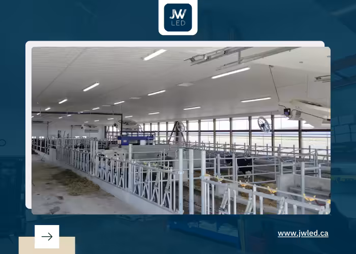 dairy shed lighting upgrade