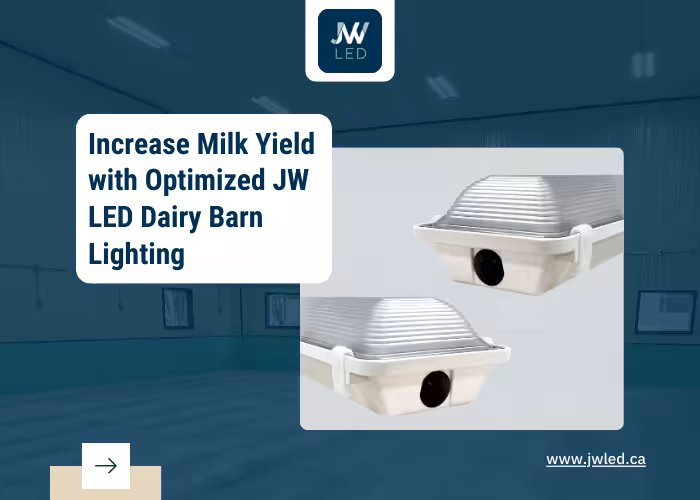 Increase Milk Yield with optimized JW LED Dairy Barn Lighting